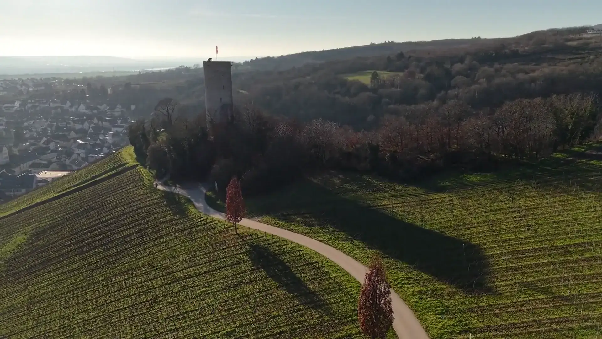 Weinberge im Winterlicht, ein geschwungener Weg mit einem Spaziergänger, dahinter der Burgturm Frauenstein auf bewaldeter Anhöhe.