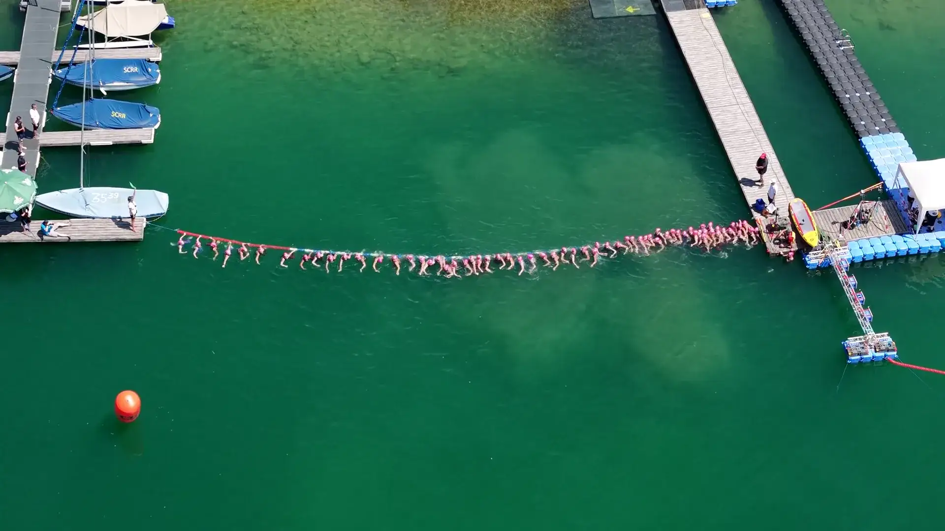 Massenstart im Freiwasserschwimmen von oben, eine lange Reihe Schwimmerinnen mit rosa Badekappen an der Startleine im grünen See.